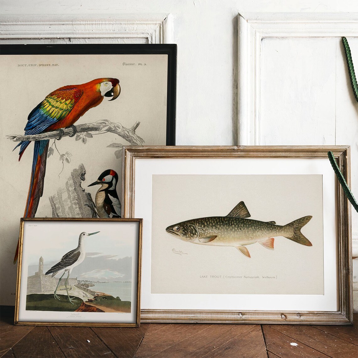Lake Trout Vintage Fishing Poster Art Print - Image 2
