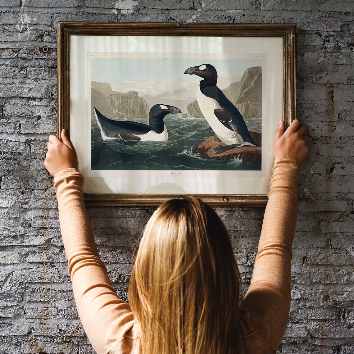 Great Auk Antique Bird Painting, Vintage Poster Print - Image 3