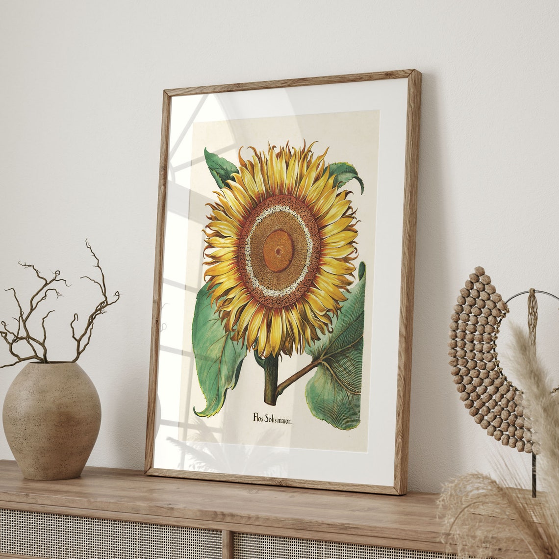 Basilius Besler 1613 Sunflower Flos Solis Maior Botanical Poster - Image 4