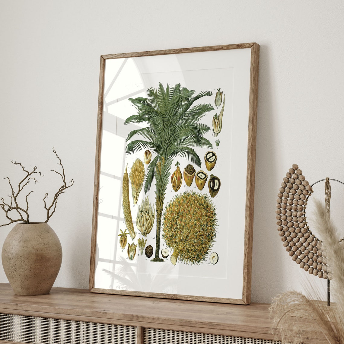 Vintage Coconut Palm Tree Botanical Illustration Chart Poster - Image 4