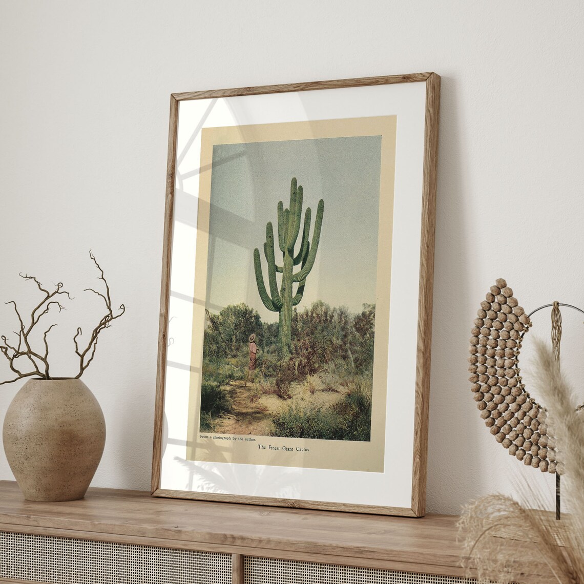 The Finest Giant Cactus Vintage Saguaro Desert Photograph Art Poster - Image 4