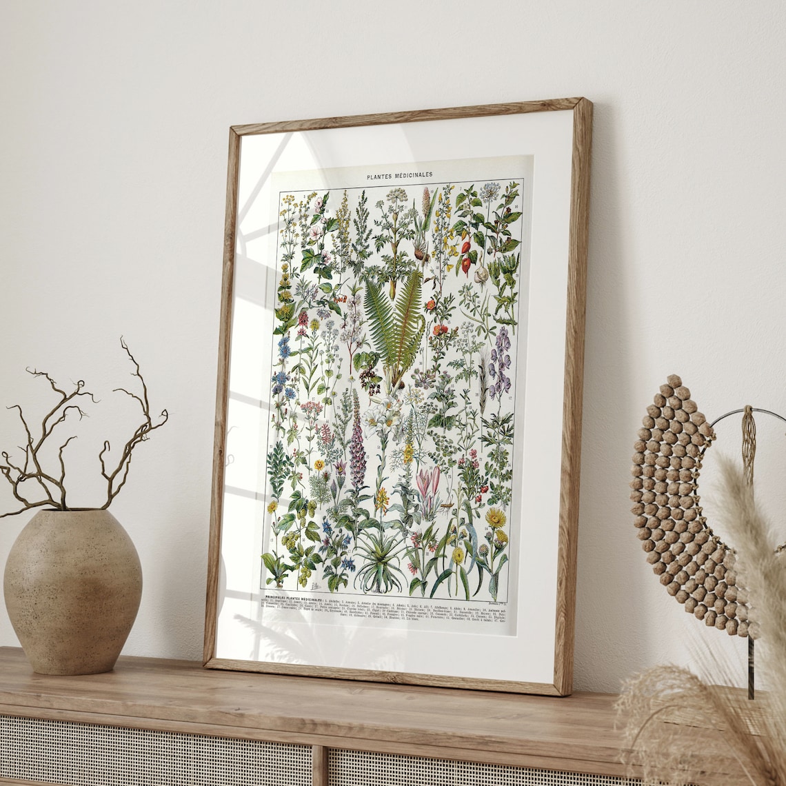 Vintage Botanical Medicinal Plant Art Print