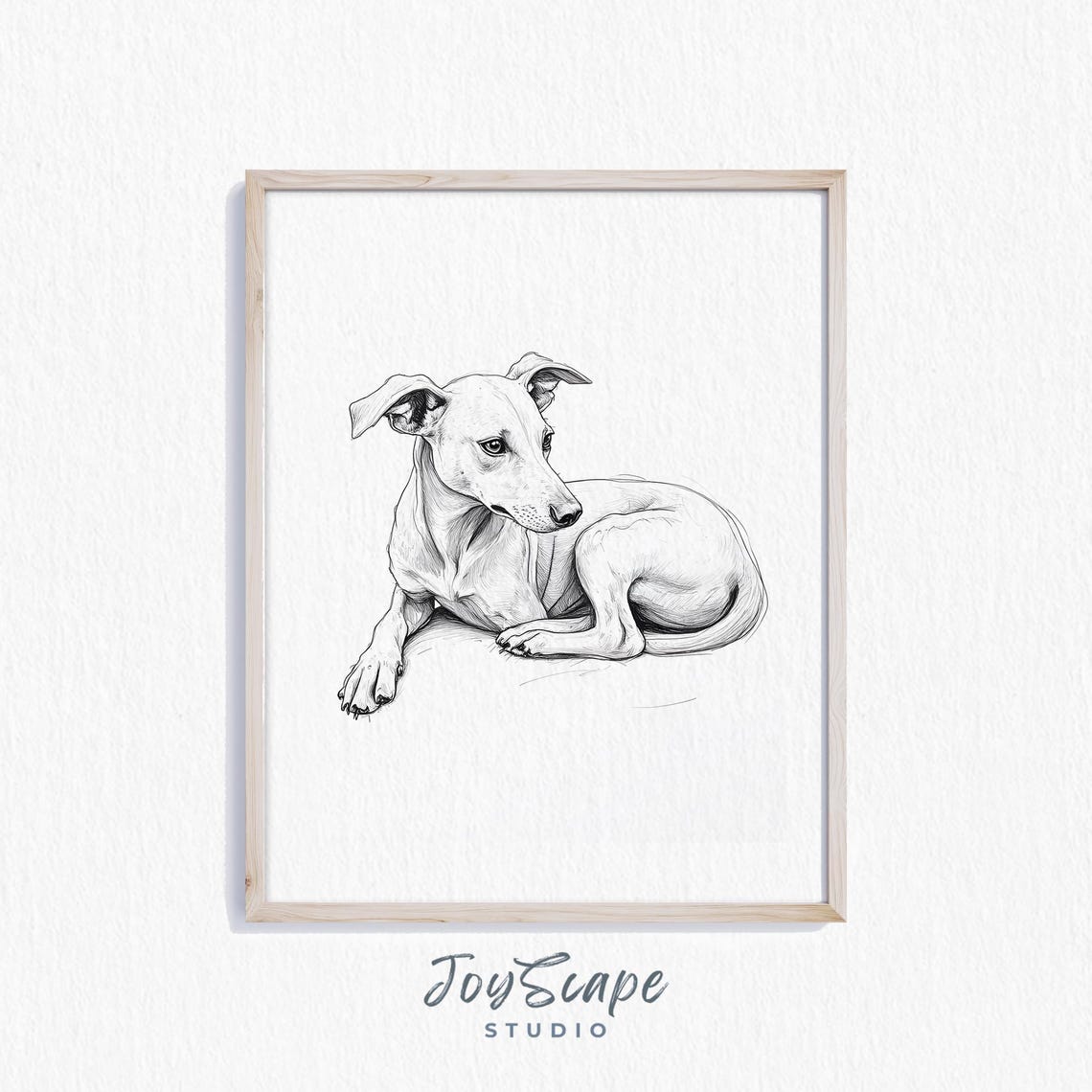 Whippet Dog Black and White Sketch Resting Elegant Minimalist Poster