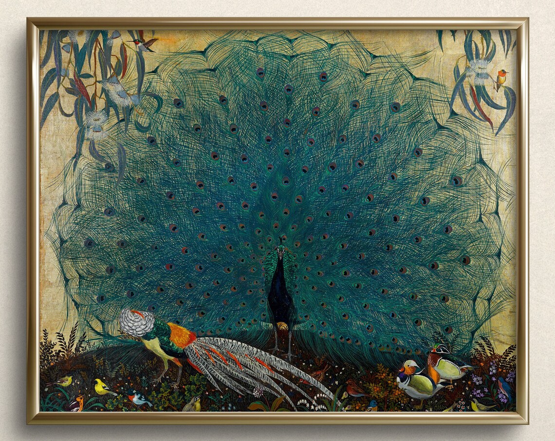 Beau Brummels Peacock Art Print, Vintage Bird Art
