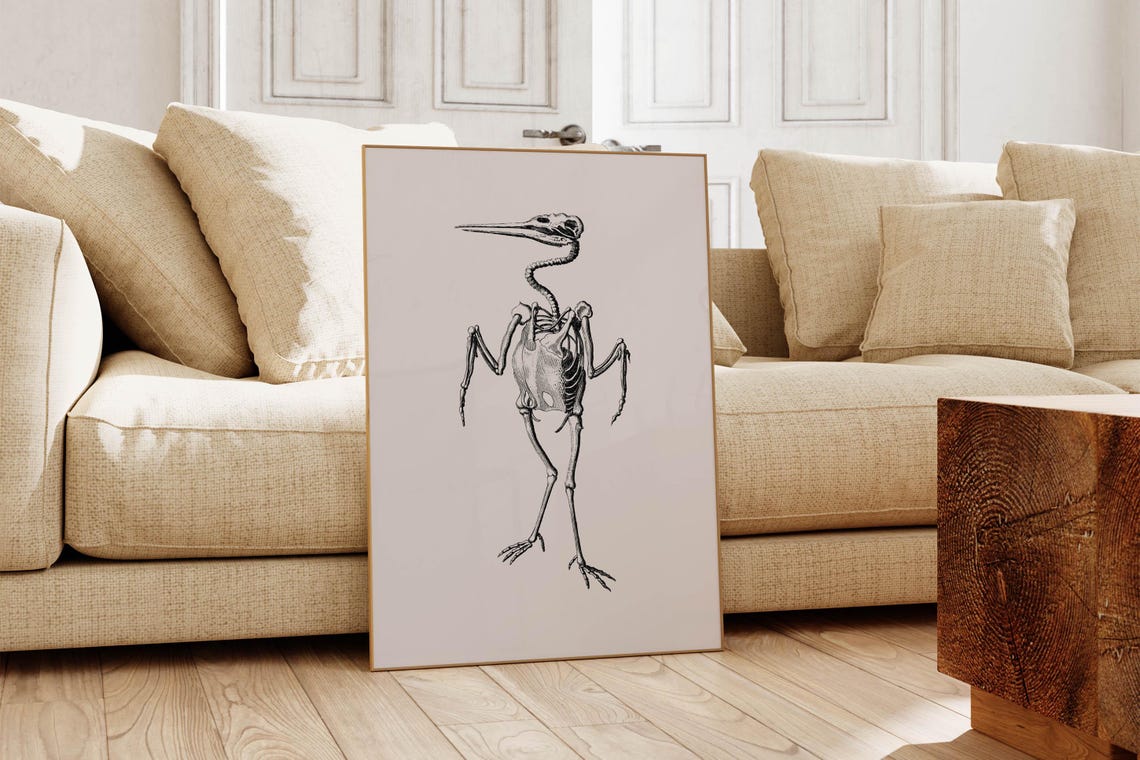 Vintage Bird Skeleton Scientific Illustration Blush Pink Poster - Image 6