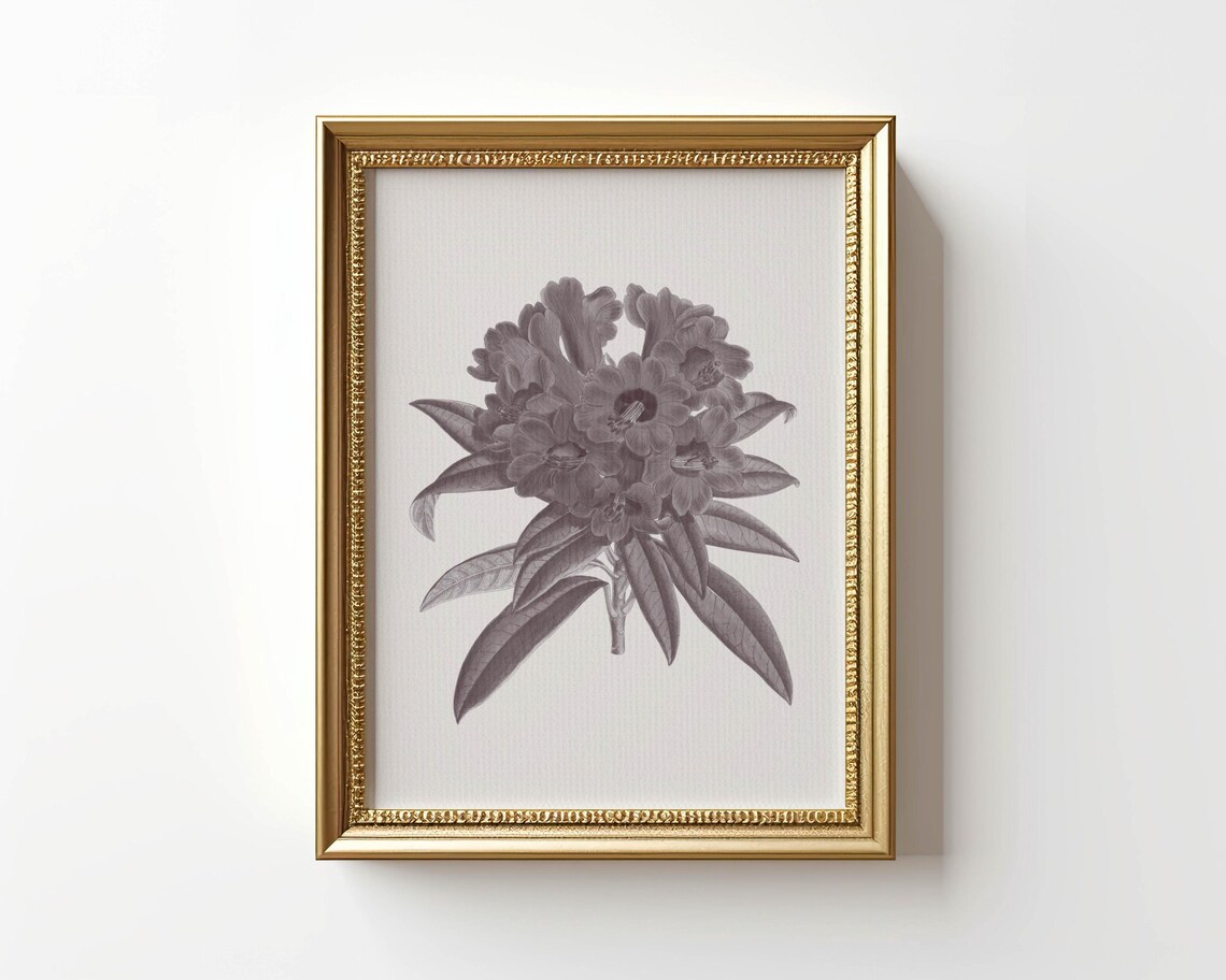 Classic Antique Botanical Flower Illustration Vintage Garden Poster - Image 4