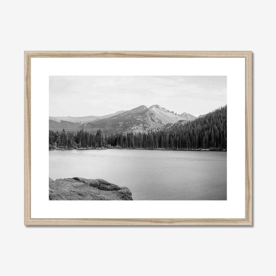 Bear Lake Colorado Black And White Landscape Art