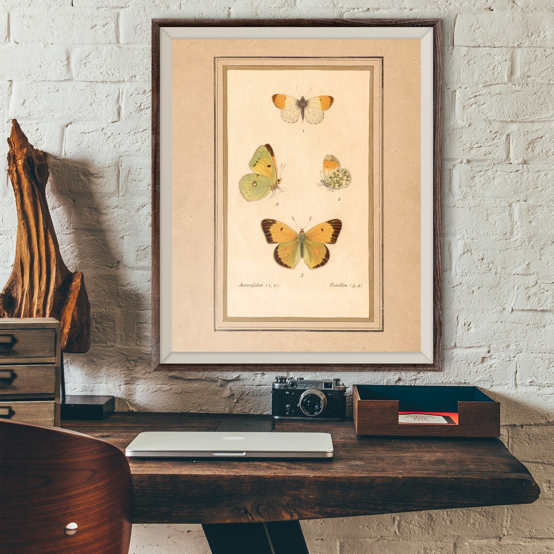 Vintage Yellow Butterfly Plate Antique Aurorafalter Art Poster
