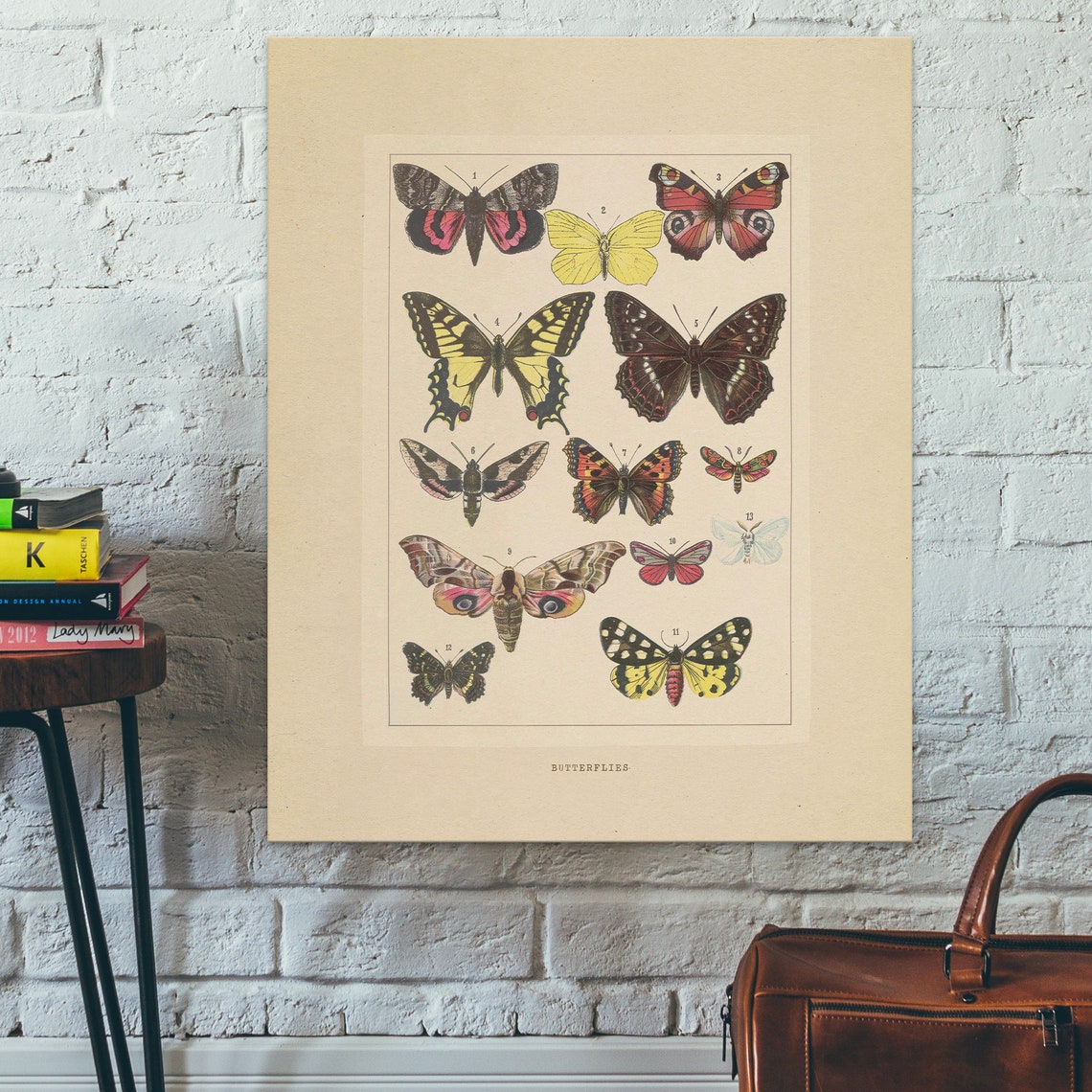Vintage Butterfly Specimens Antique Entomology Illustration Poster - Image 2