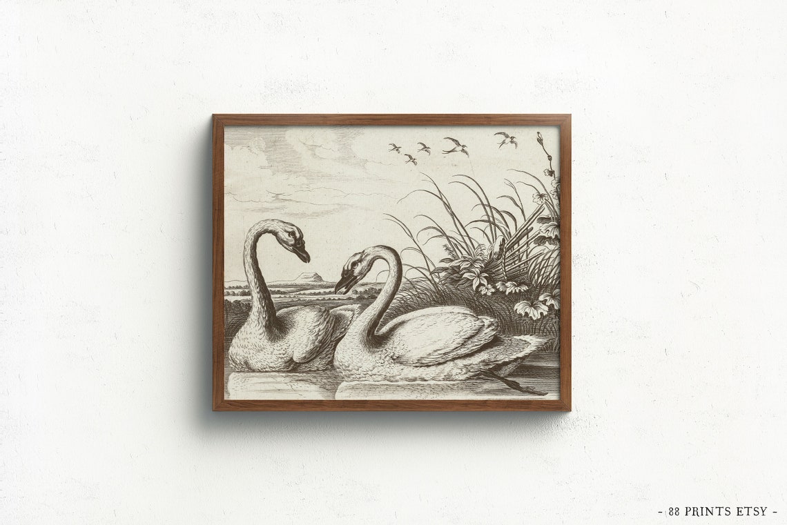 Two Swans Marsh Landscape Vintage Antique Engraving Style Wall Art - Image 3