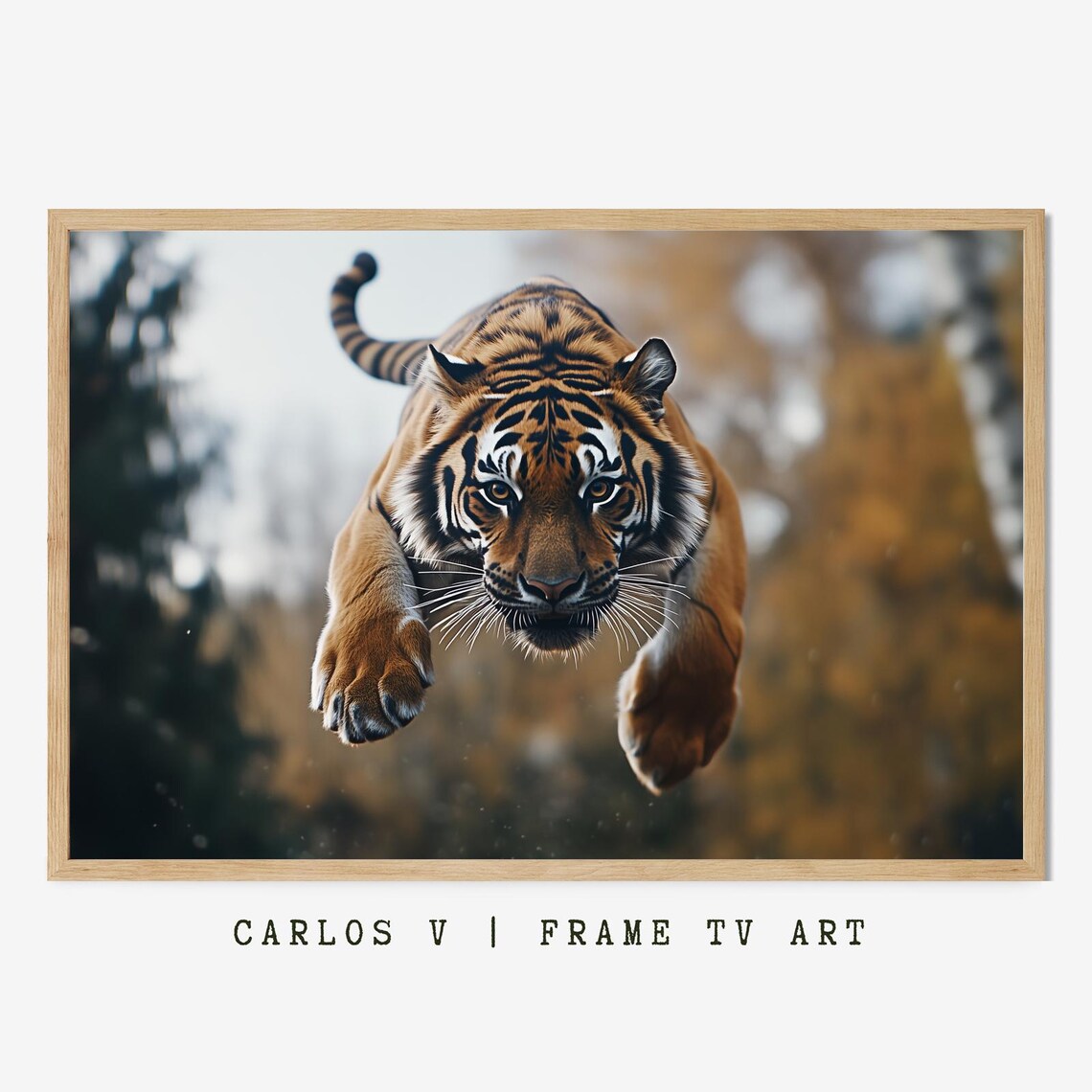 Tiger In Action, Wildlife Photography Art Print