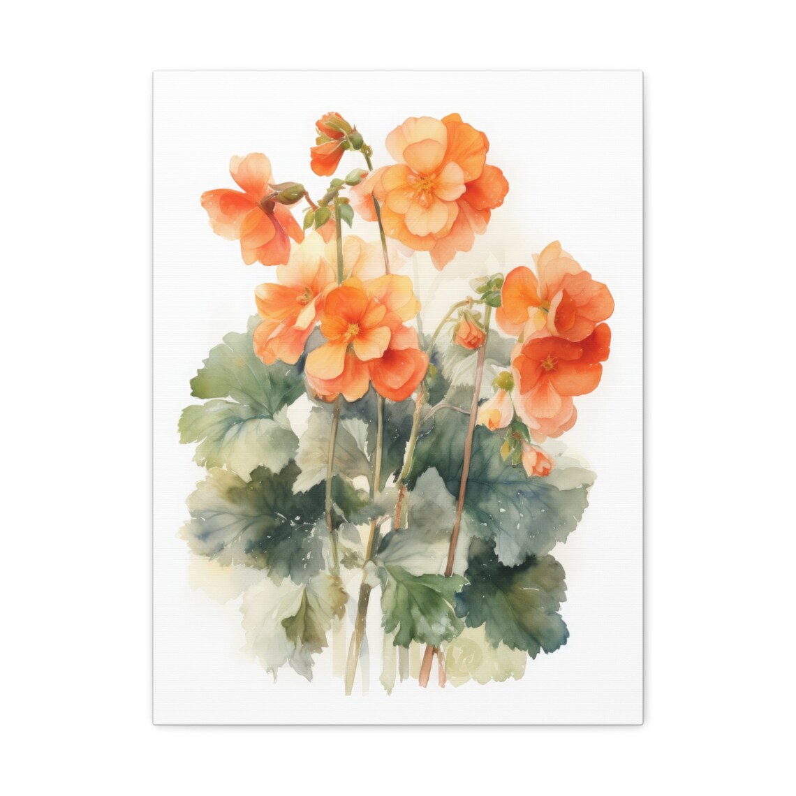 Orange Begonia Watercolor Flower Blooms Green Leaves Botanical Print