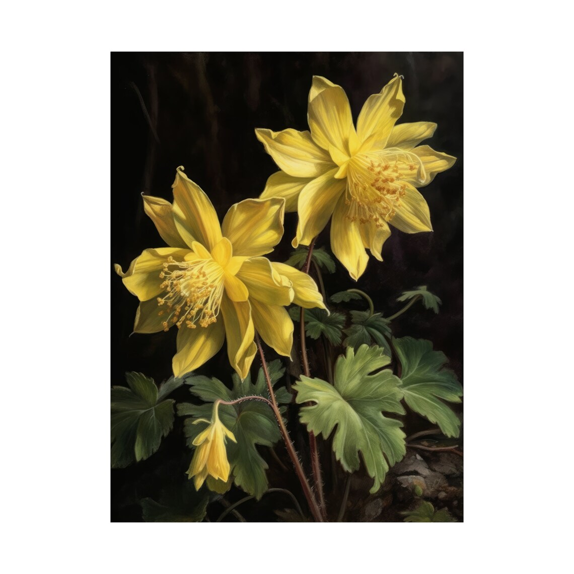 Yellow Columbine Flowers Moody Dark Botanical Oil Painting Art Print - Image 4
