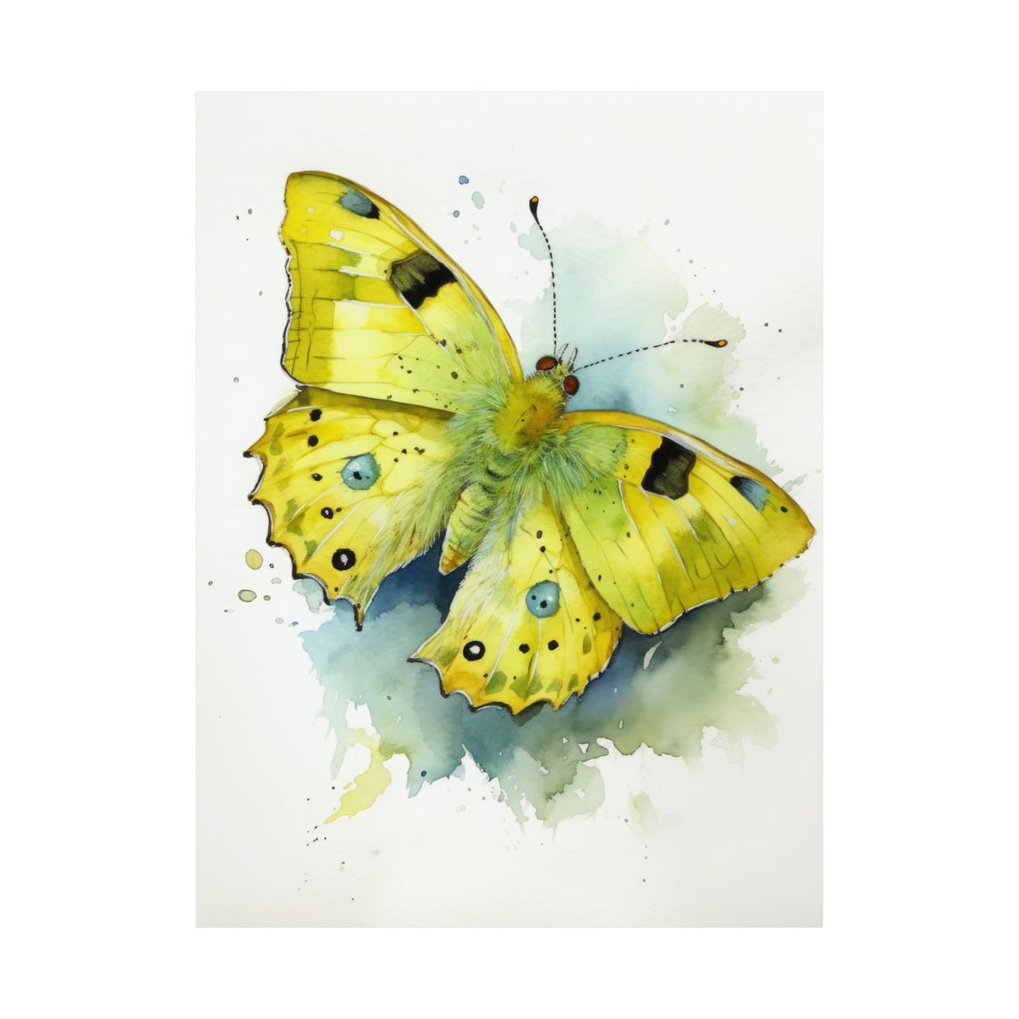 Sulphur Butterfly Art Print Butterfly Home Dcor Watercolor Butterfly Painting Insect Wall Art Nature Lover Butterflies Artwork - Image 4