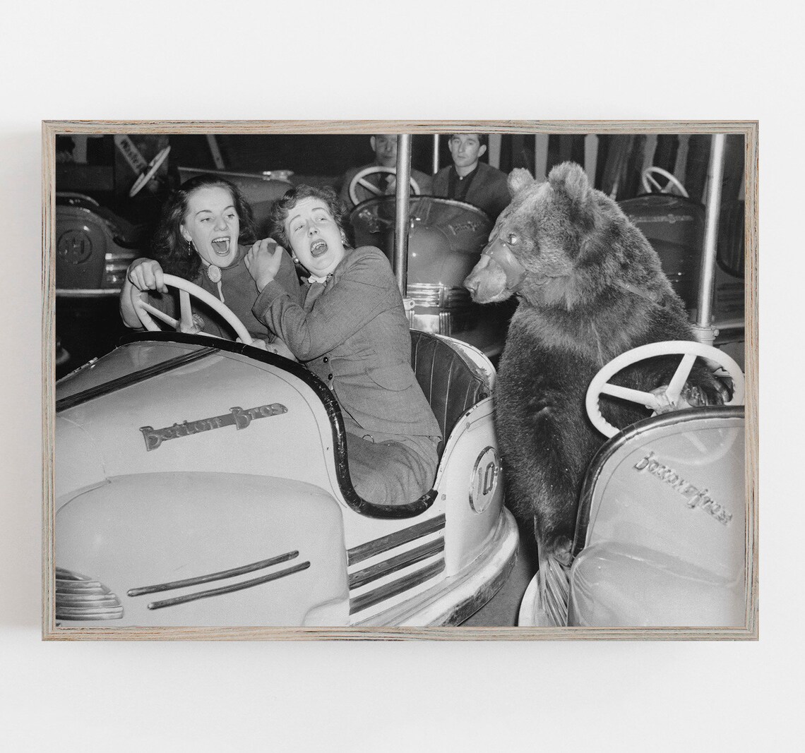 Bear Driving Bumper Car, Vintage Funny Art Print