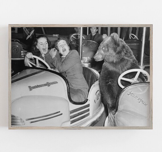 Bear Driving Bumper Car, Vintage Funny Art Print