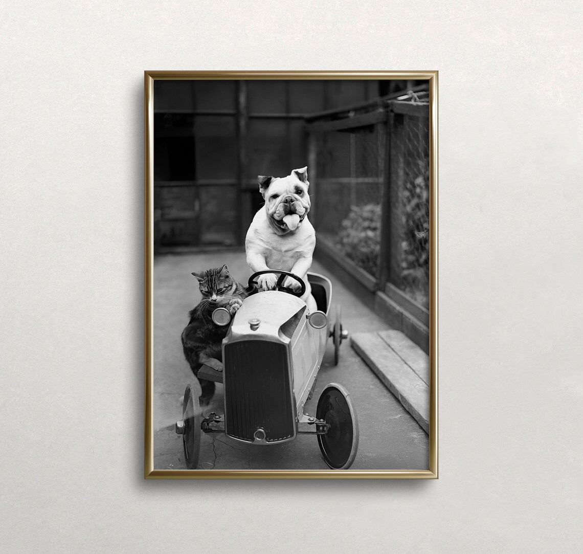Funny Dog Driving Car Black and White Art Print