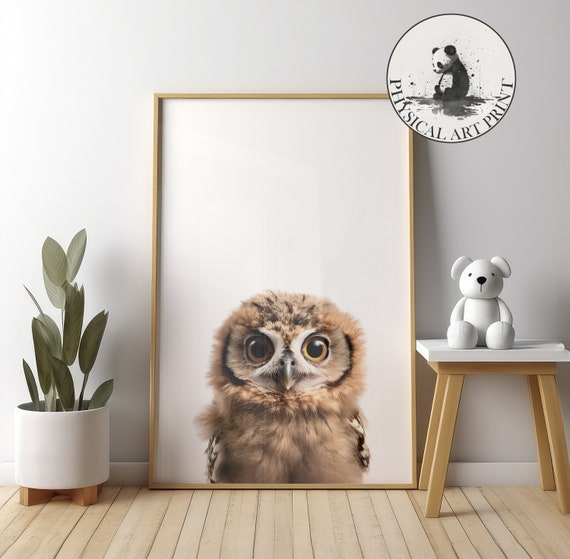 Baby Owl Wall Art Physical Print Animal Illustration Nursery Decor Infant Matte Poster