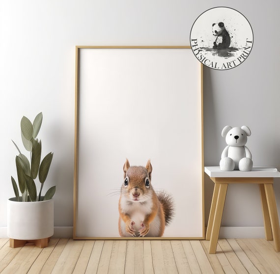 Baby Squirrel Wall Art Physical Print Animal Illustration Nursery Decor Infant Matte Poster