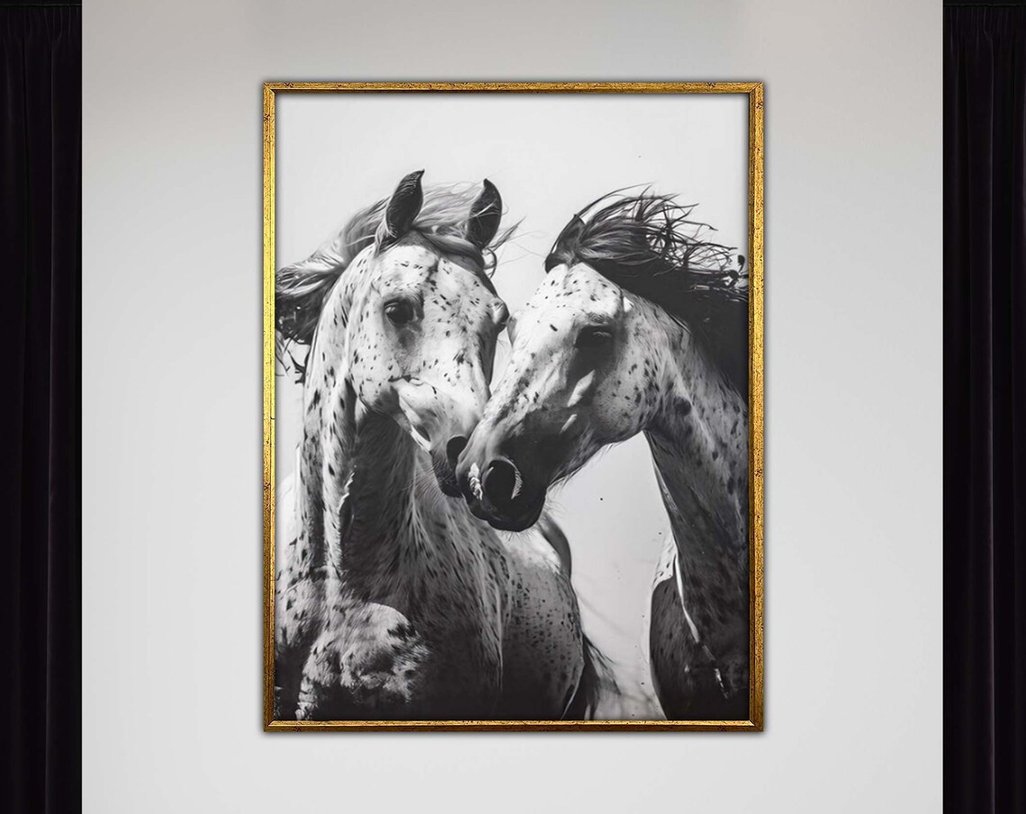 Two Spotted Horses Nuzzling Black and White Equine Photography Art Poster
