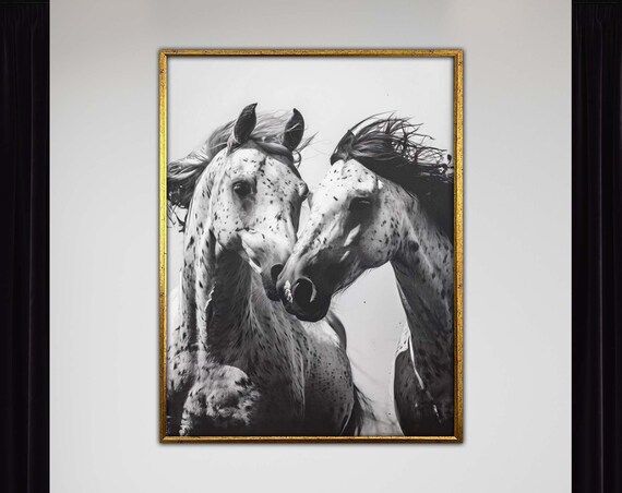 Two Spotted Horses Nuzzling Black and White Equine Photography Art Poster