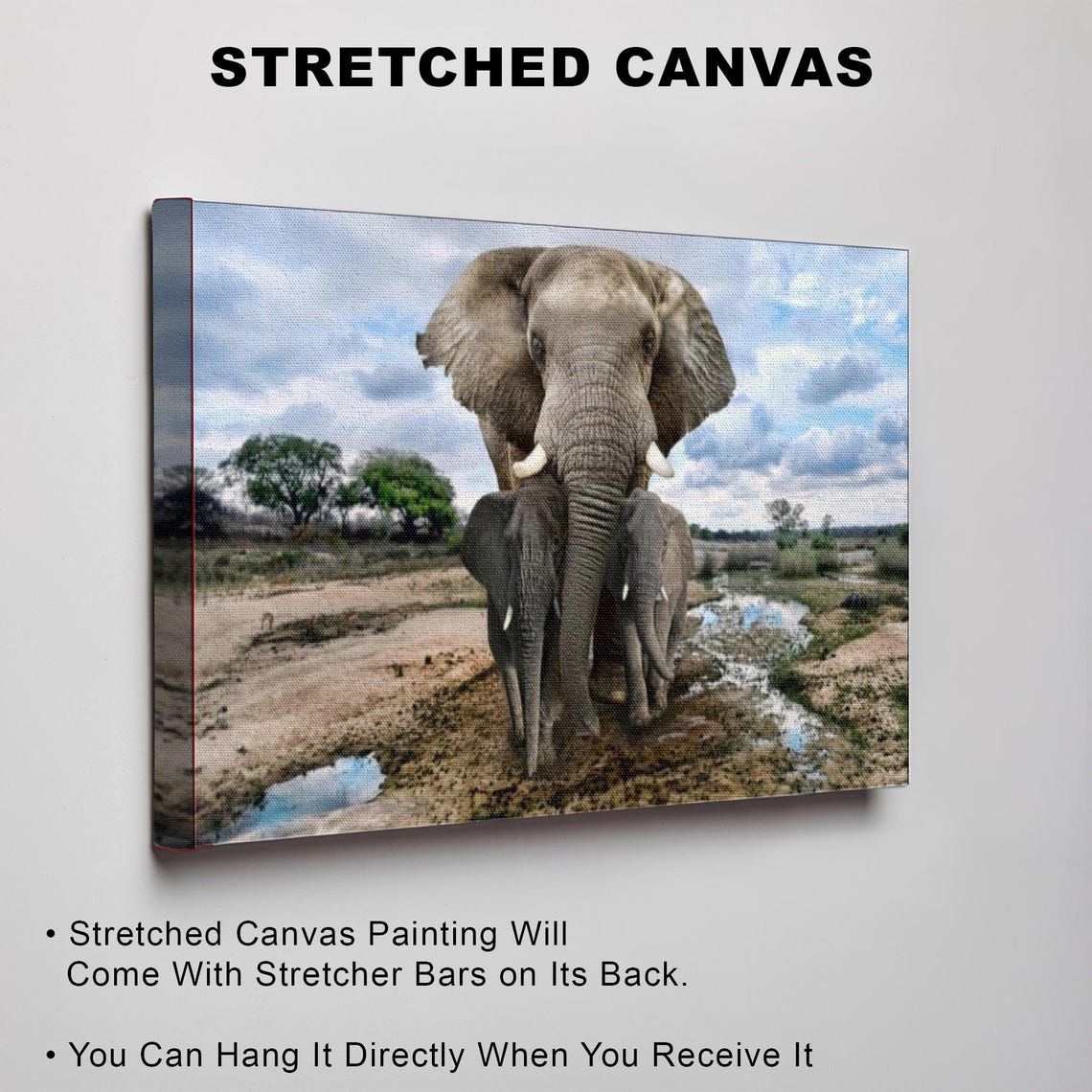 African Elephant Shielding Her Calves at the Waterhole Safari Poster - Image 3