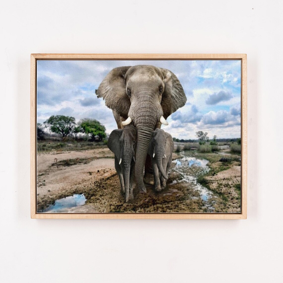 African Elephant Shielding Her Calves at the Waterhole Safari Poster - Image 4