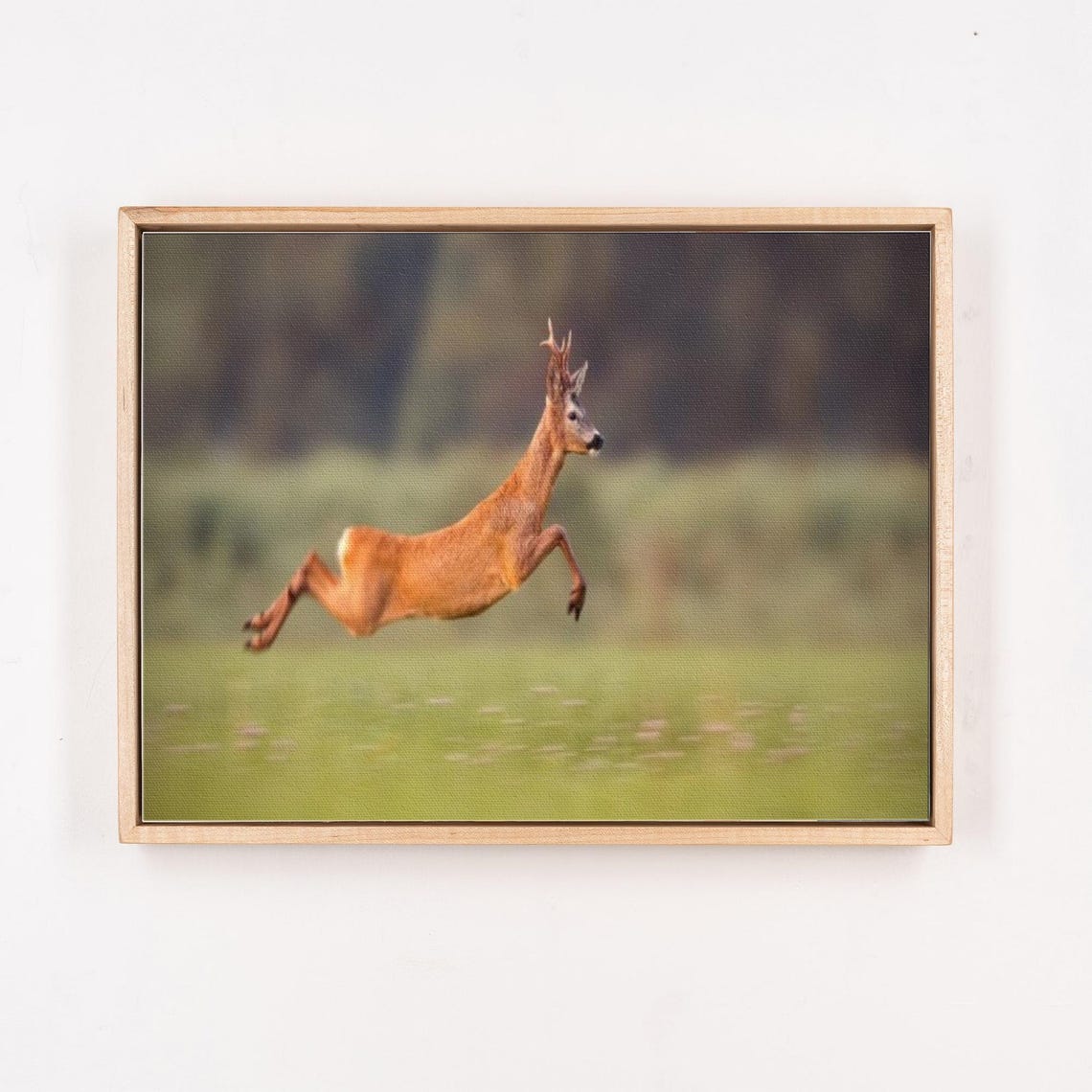 Leaping Roe Deer Stag Jumping High Across Green Meadow Poster - Image 4