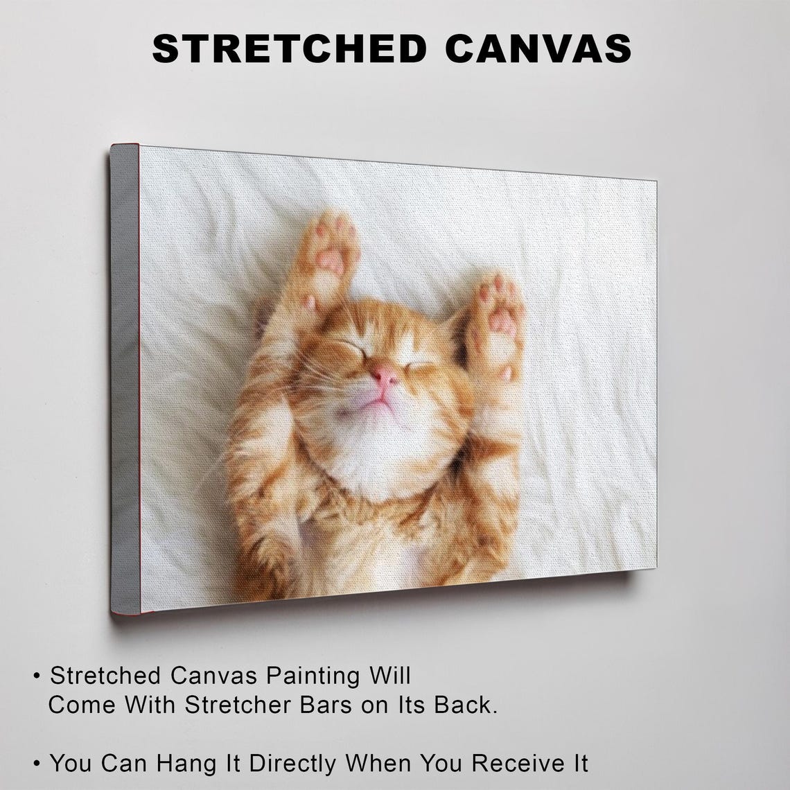 Sleeping Orange Kitten On Its Back Cute Animal Photography Poster - Image 3