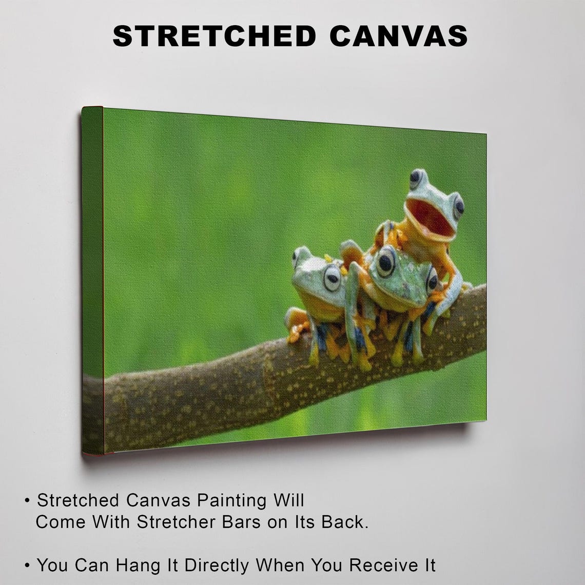Three Tree Frogs Perched On A Branch Wildlife Photo Art Poster - Image 3