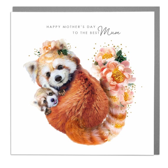 Best Mum Mother's Day Red Pandas Poster Print