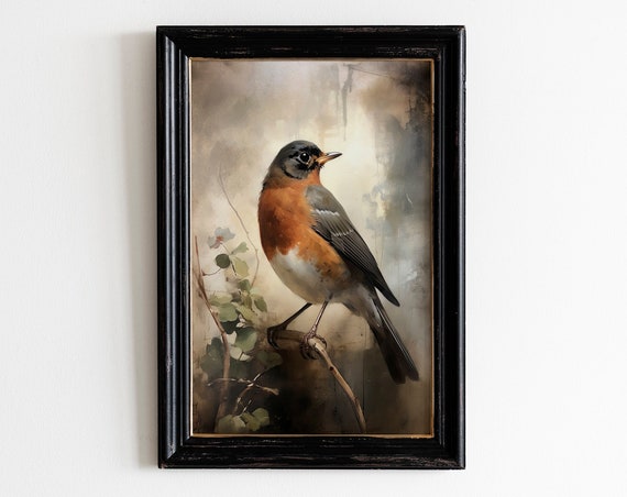 Vintage Robin Bird Print Antique Bird Wall Art Moody Vintage Decor Living Room Art Oil Painting