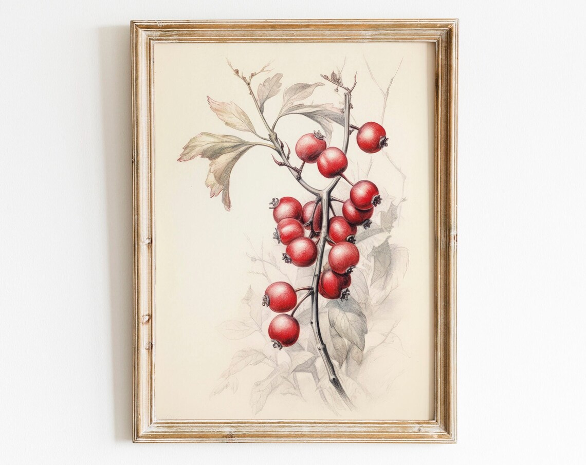 Vintage Cranberry Branch Botanical Illustration Farmhouse Art Print