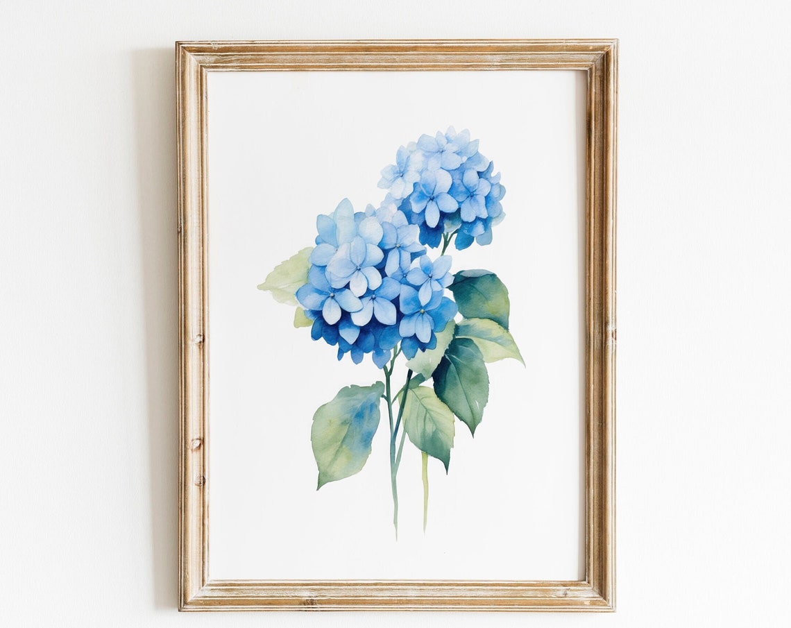 Blue Hydrangea Watercolor Flower Minimalist Botanical Art Poster