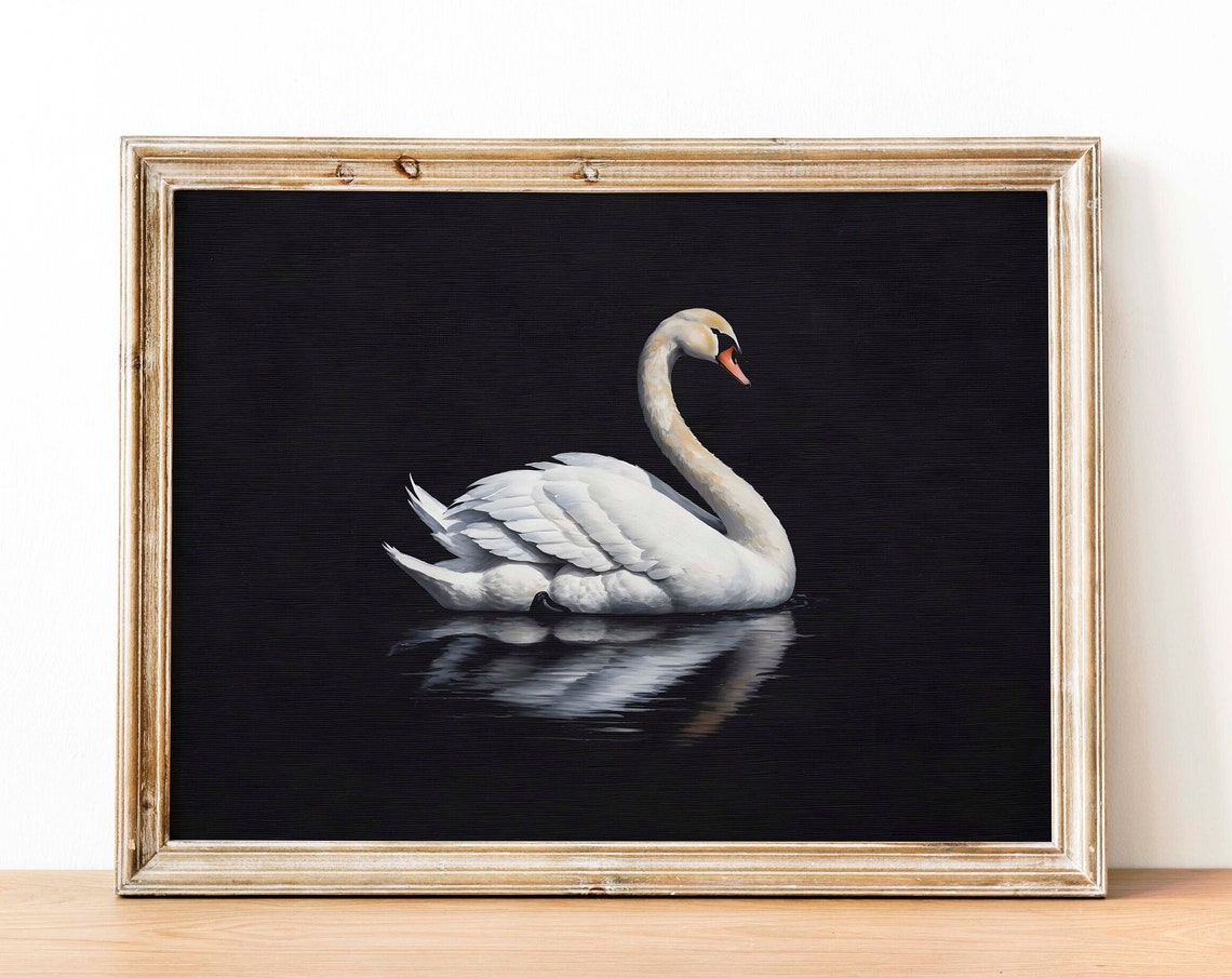 White Swan Dark Water Mirror Reflection Serene Bird Art Poster