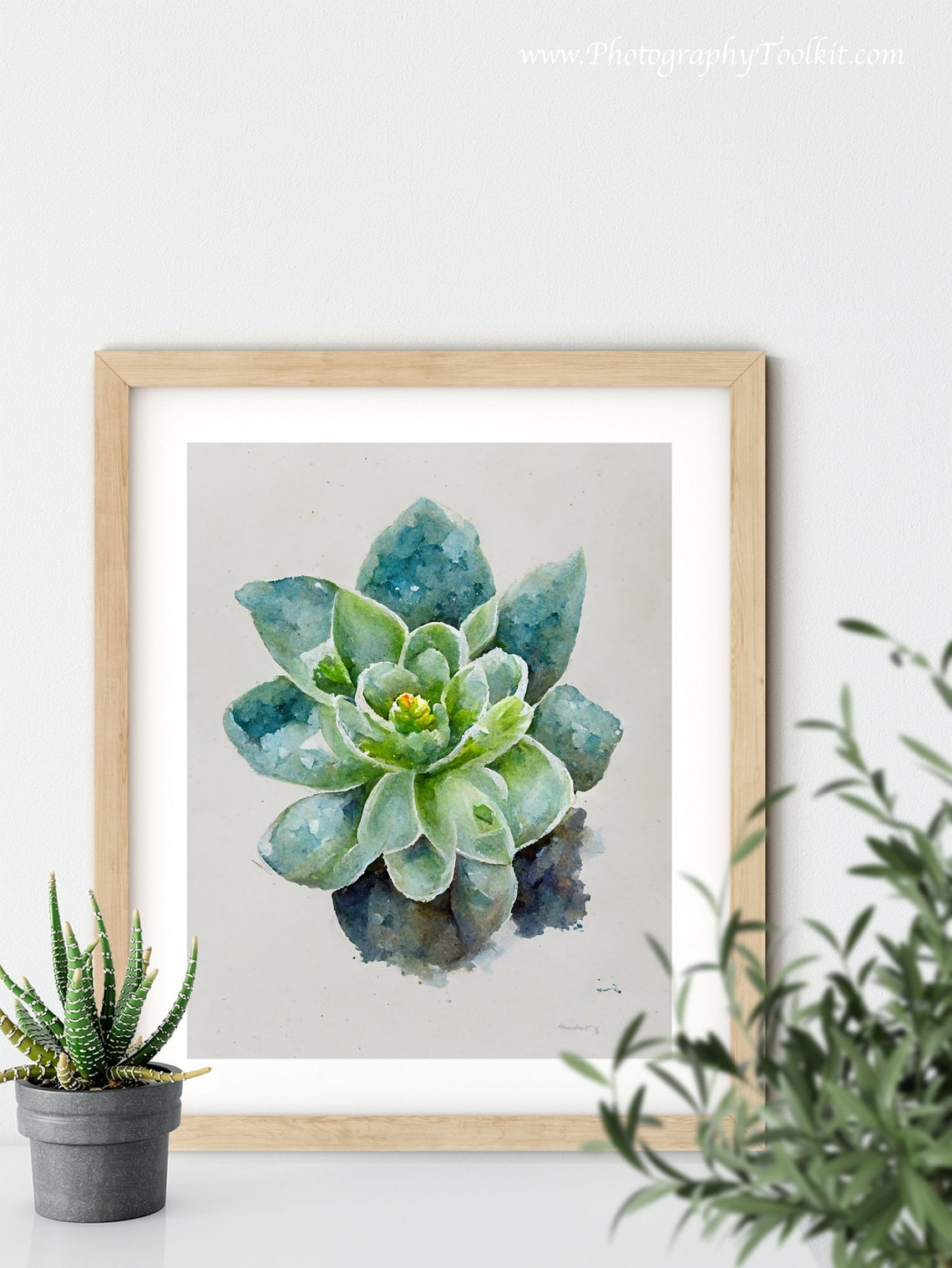 Watercolor Succulent Top View Teal Green Minimal Plant Poster - Image 6