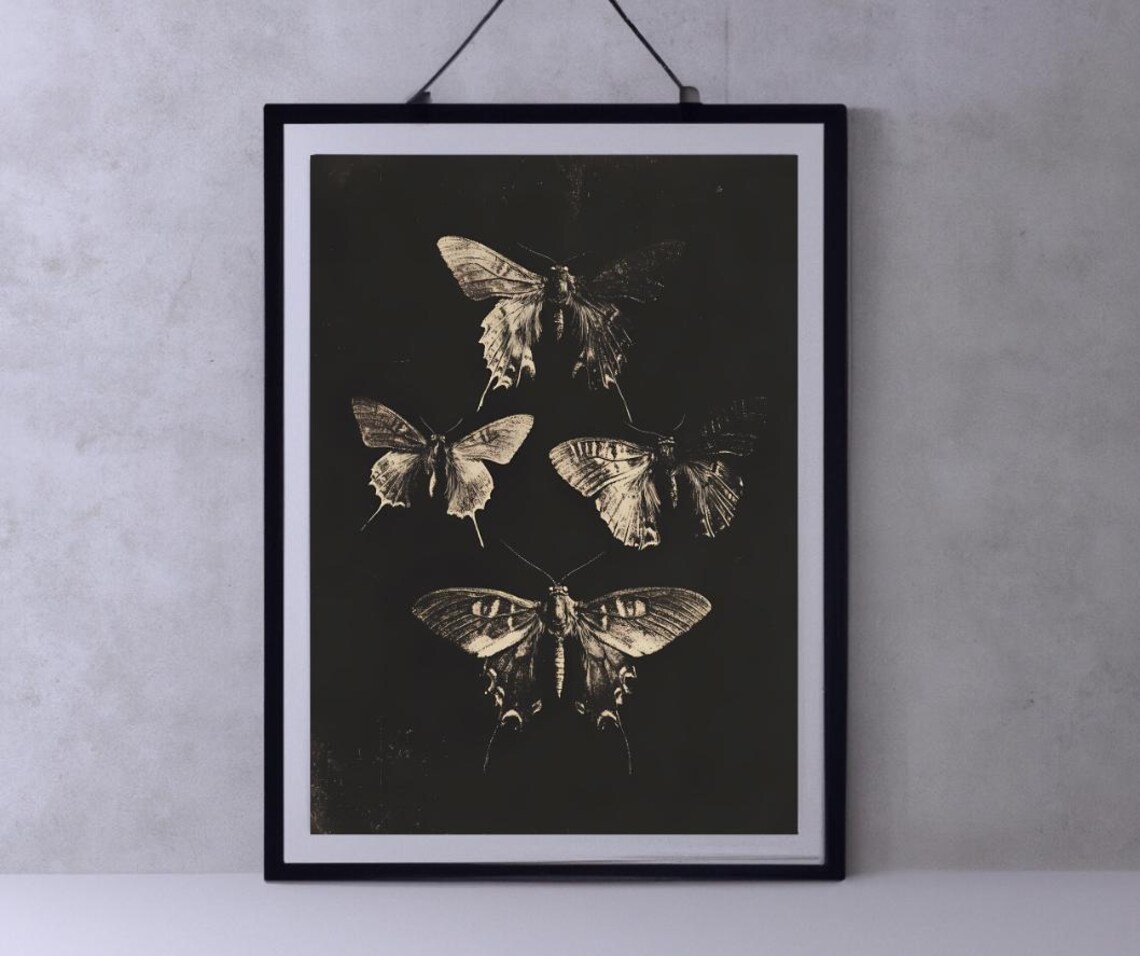 Four Dark Butterflies on Black Vintage Botanical Style Art Poster