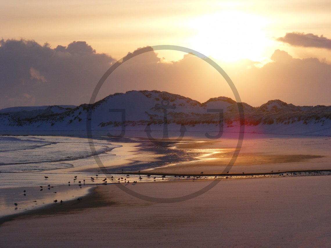 Fraserburgh Beach Scotland Golden Sunset Wet Sand Birds Dunes Poster - Image 3