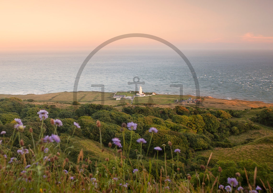 White Lighthouse on Coastal Cliffs with Wildflower Meadow Poster - Image 3