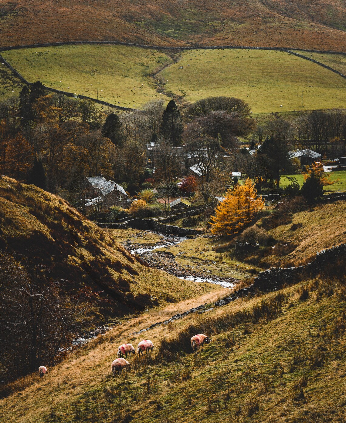 Dentdale Yorkshire Dales Sheep Grazing Autumn Valley View Poster - Image 3