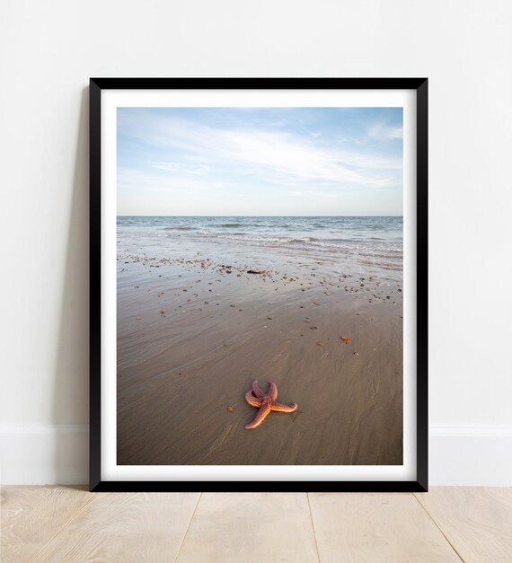 A Starfish On An Empty Beach Seaside Limited Edition Print Photography Fine Art Wall Art Exclusive Print Posters Photos Uk