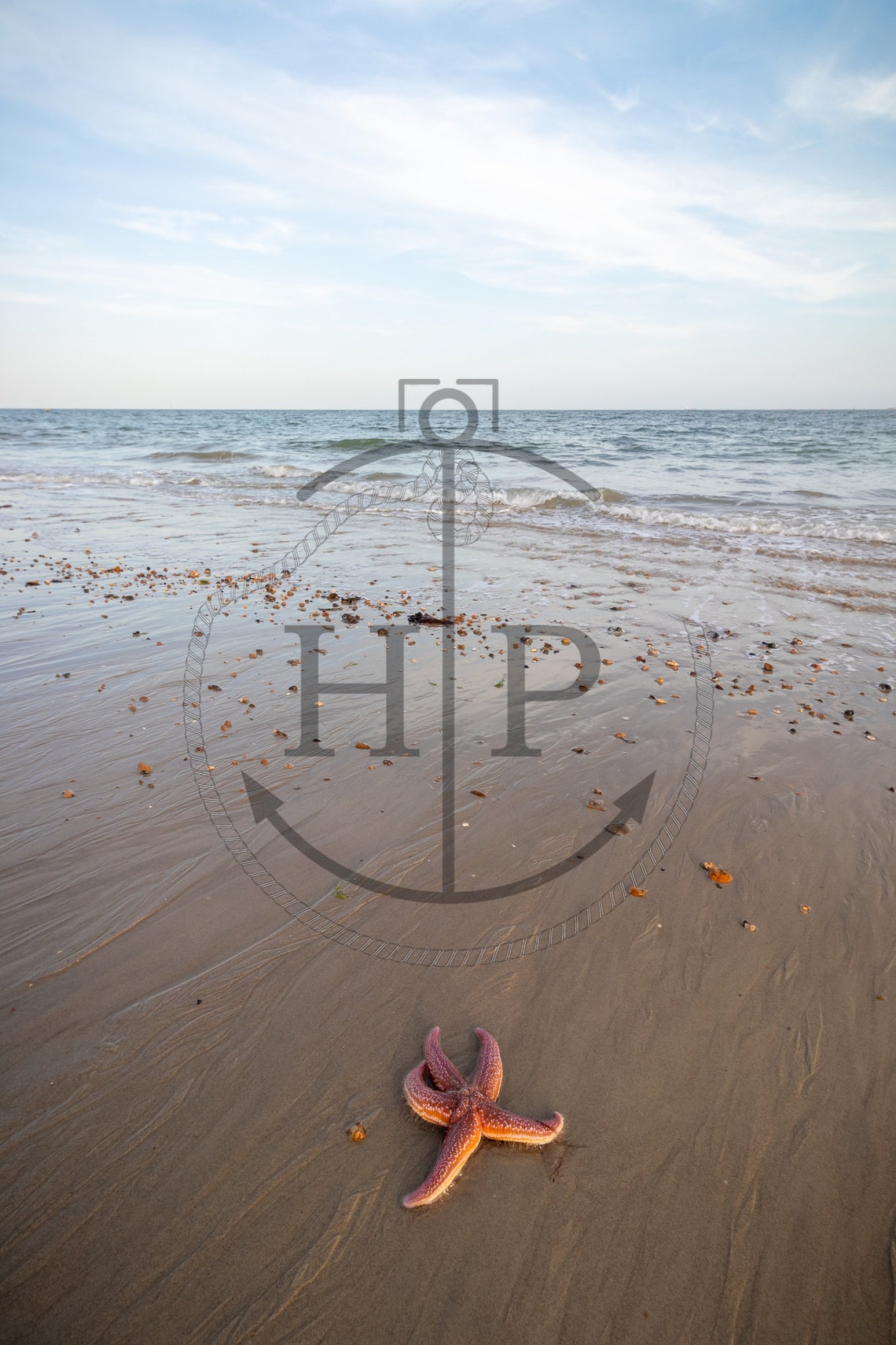 Starfish On Empty Beach Wet Sand Seaside Minimalist Coastal Poster - Image 3