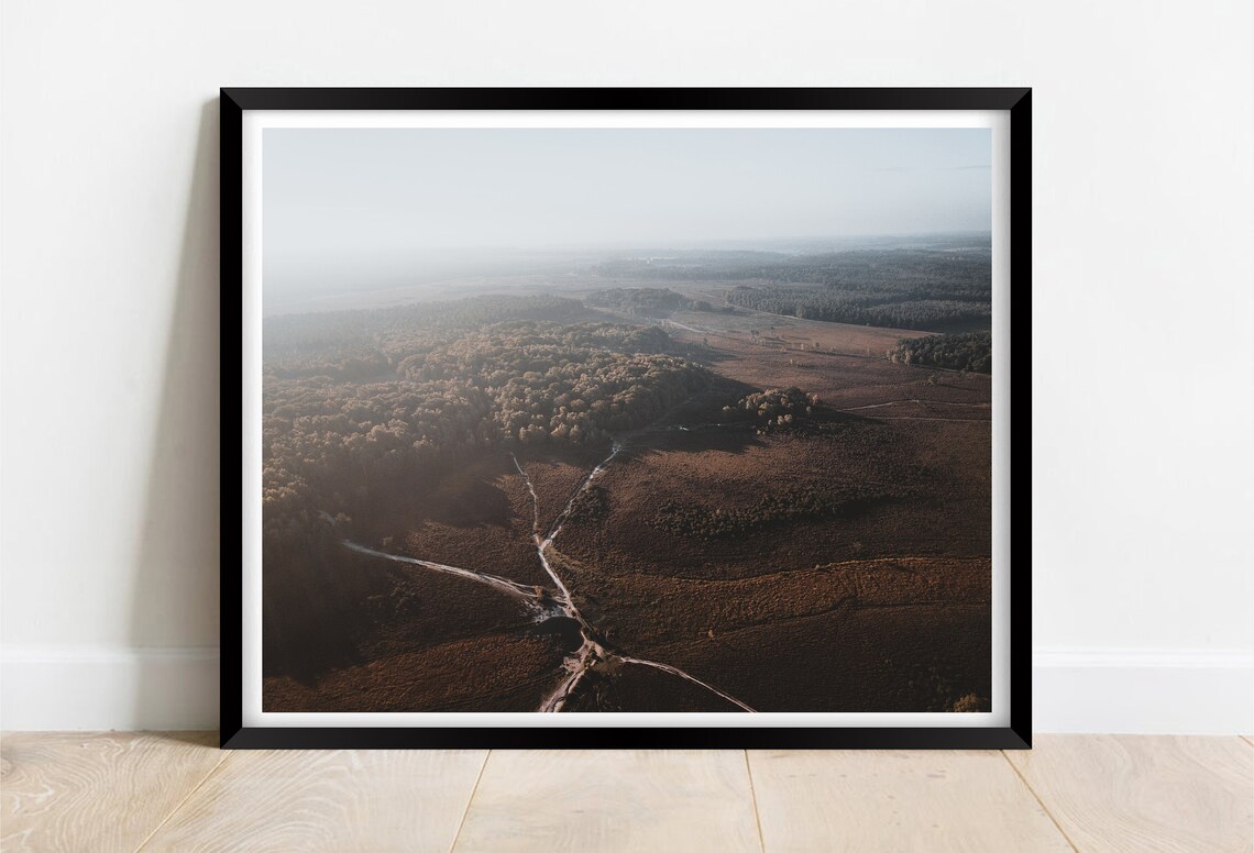 New Forest Hampshire Aerial Moorland Woodland Trails View Poster