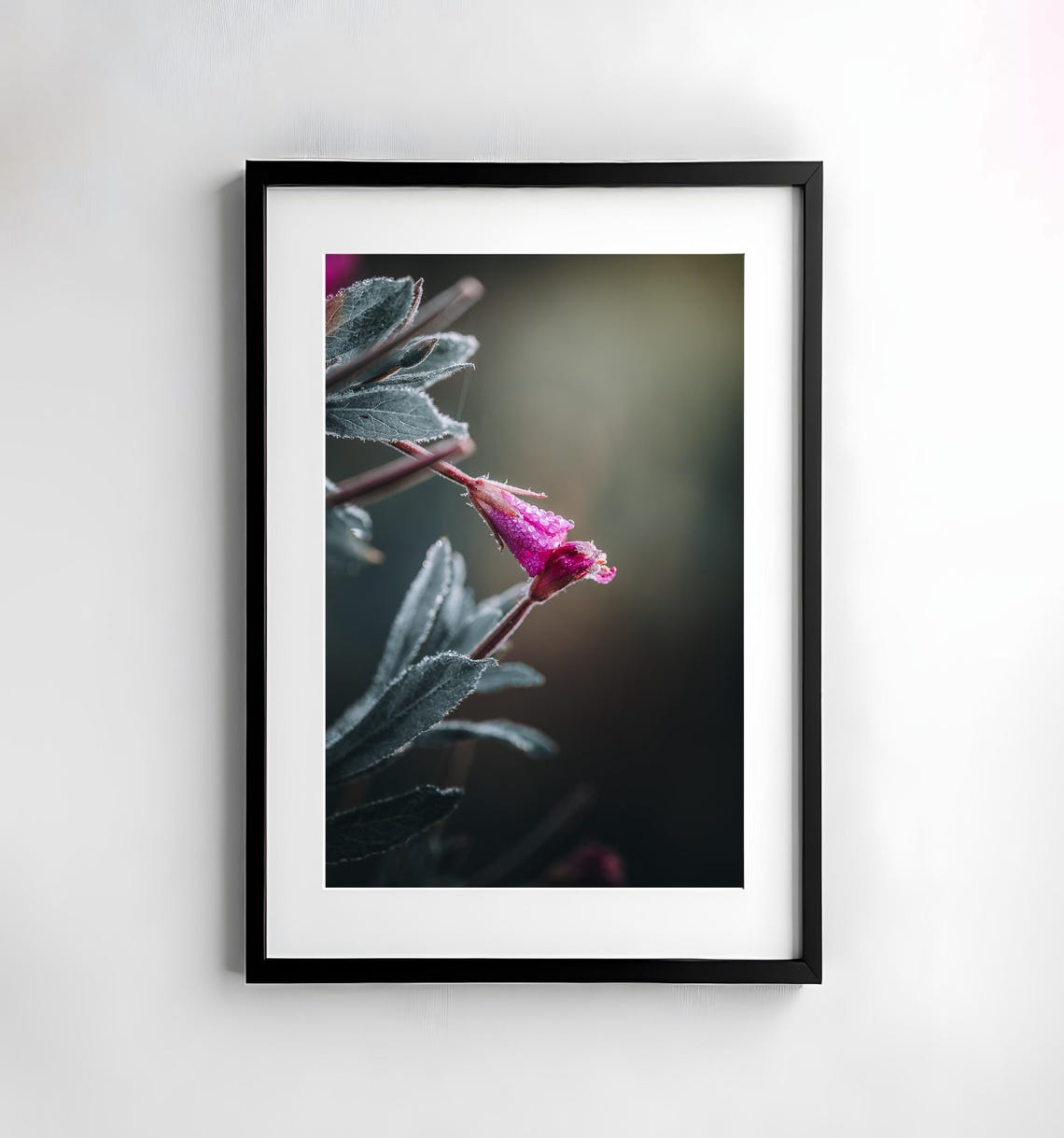 Pink Flower Bud with Dew Drops Delicate Macro Botanical Poster