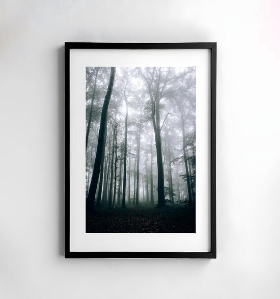 Tall Bare Trees Slowly Vanishing into Thick White Fog Poster