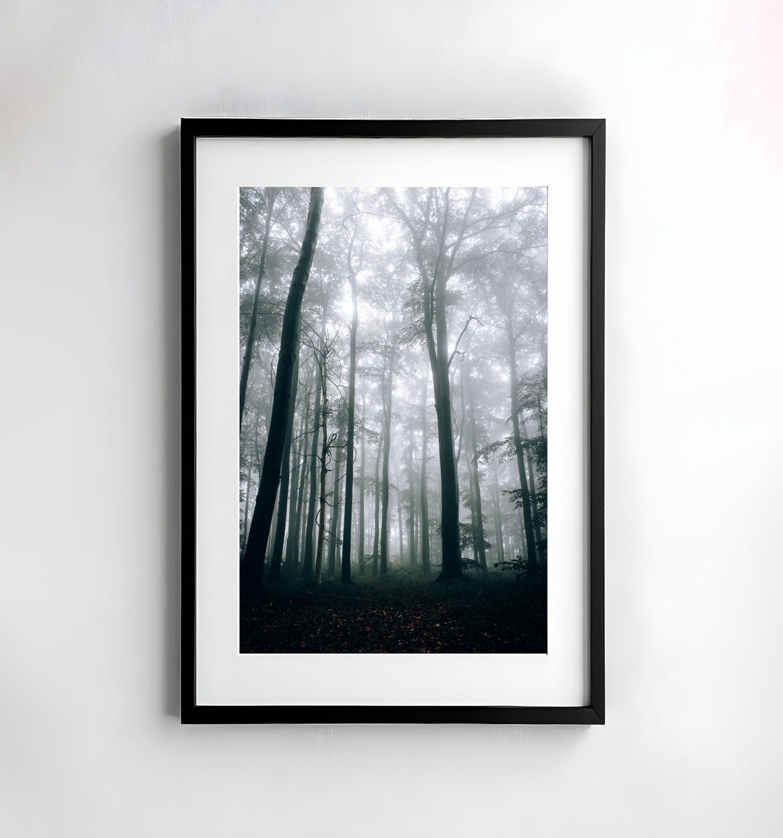 Tall Bare Trees Slowly Vanishing into Thick White Fog Poster