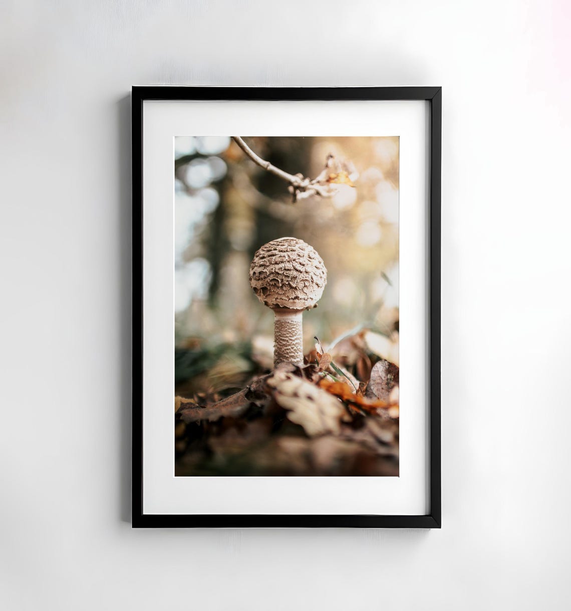 Shaggy Parasol Mushroom on Autumn Forest Floor Macro Nature Poster