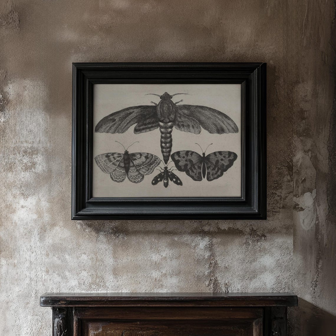 Black Moth and Butterfly Vintage Engraving Halloween Art Poster - Image 2