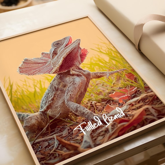 Frilled Lizard With Flared Frill Australian Reptile Wildlife Poster