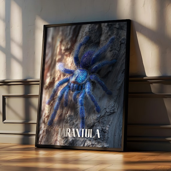 Gooty Sapphire Tarantula Blue Spider Wildlife Photography Art Poster